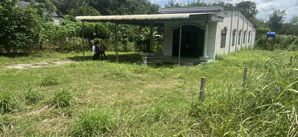 Lô đất có sẵn căn nhà cấp 4 trên đất