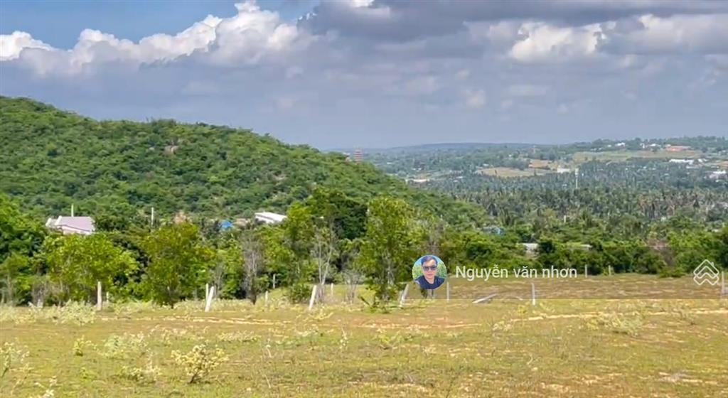 Cần bán 2000m2 đất vuông vắn, giá 3 tỷ