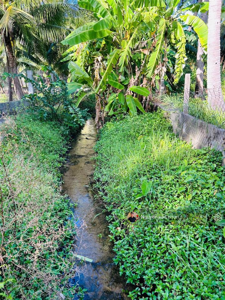 Bán đất cạnh biển có 300 cây dừa tại xã thiện nghiệp