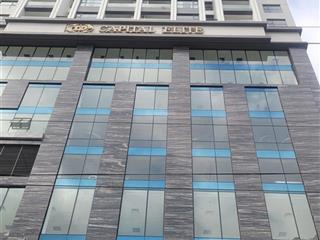 Cắt lỗ bán căn hộ cao cấp 3pn 2wc tại capital elite, 127m2, nam từ liêm, hà nội