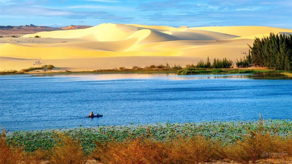 Bán 1,6ha view hồ bàu trắng rất đẹp