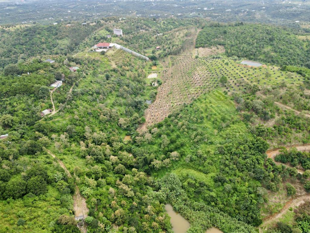 Chủ ở xa gửi bán quỹ đất 17.3ha  huyện bảo lâm (cũ)  tỉnh lâm đồng