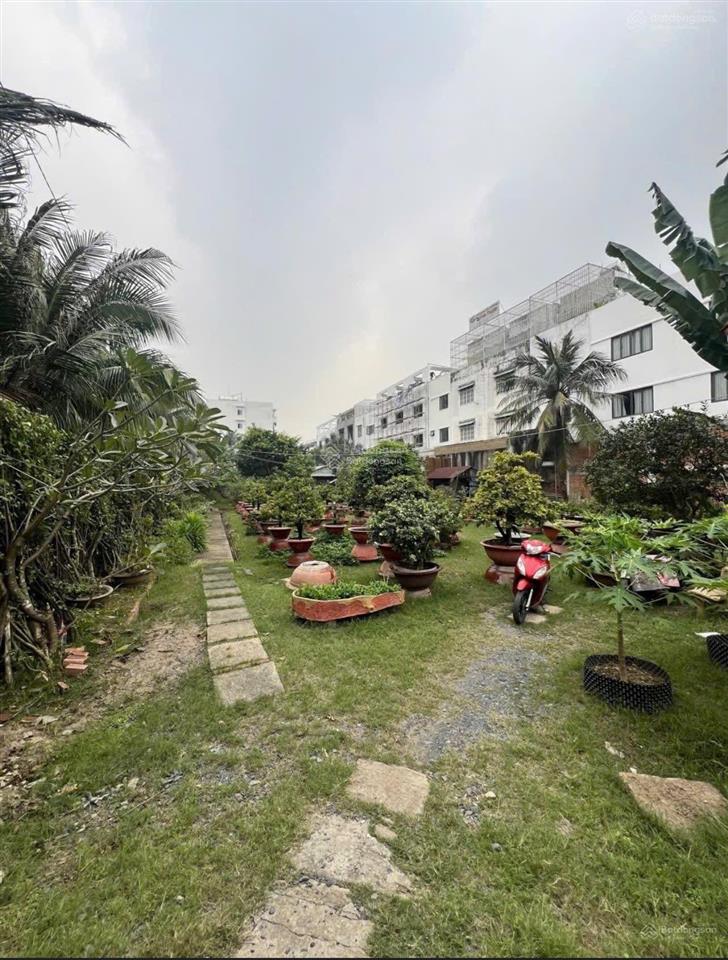 Chính chủ bán 2000m2 số 221 lê tấn bê, phường an lạc . giảm giá tháng 12 50ty