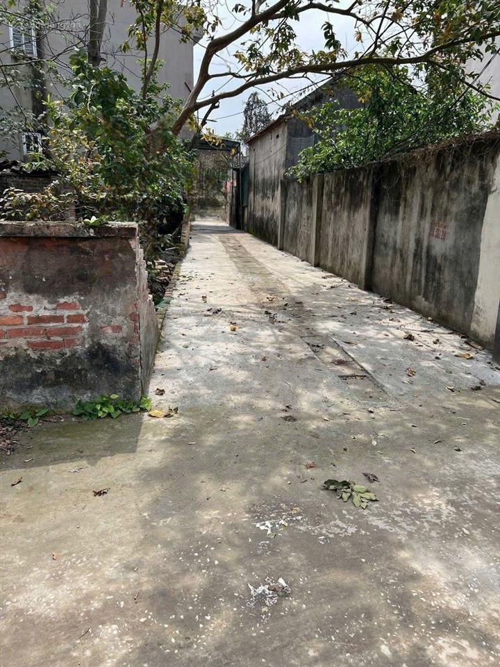 Bán đất tại xã nhị khê, thường tín, hà nội, 3,9 tỷ, 40m2