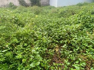 Đất thổ cư  hẻm xe hơi hà huy giáp, gần cầu vượt ngã tư ga, q12  62m2  4 tỷ