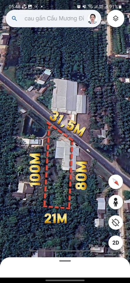 Bán gấp trước tết 2,7tr/m2 đất ql60 tuyến vào cầu cổ chiên (589m2)