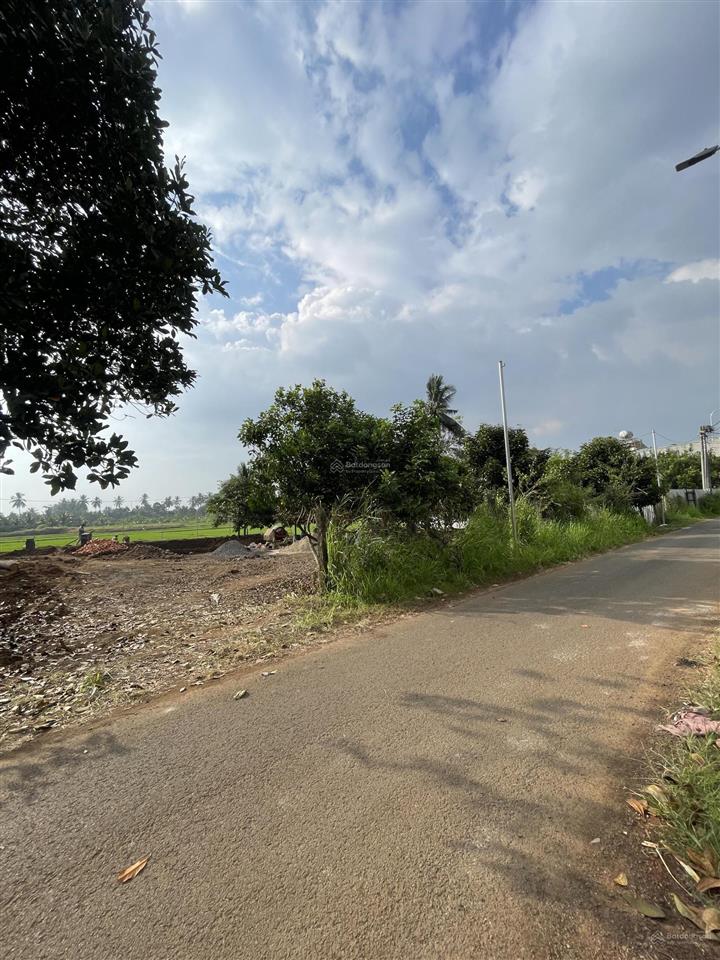 Bán lô vườn nghỉ dưỡng sẵn thổ cư , trái cây đủ loại