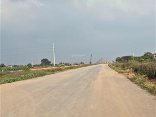 Bán đất đấu giá khánh hà gần vành đai 4. lô góc, đường 10m vỉa vè rộng.