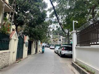 Chủ cần bán gấp phù hợp chia lô xây ccmn dòng tiền  mai động 140 m , mt 8 m , giá 28 tỷ