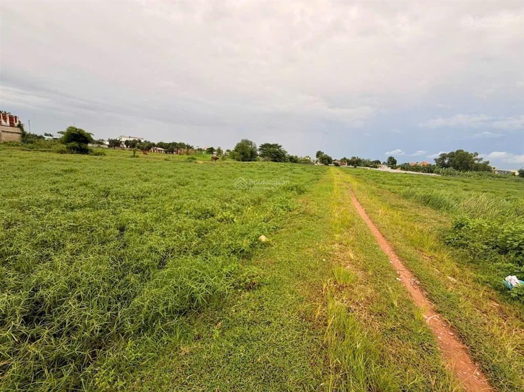 Chỉ hơn 4 tr/m2 đất mặt trần hải phụng bình chánh 7400m232 tỷ