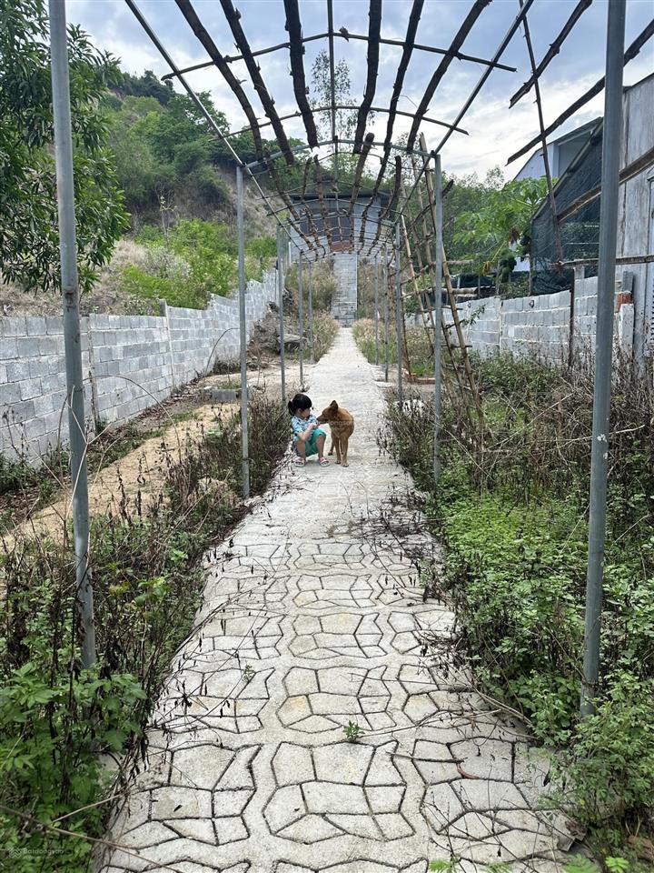 Bán nhà phường nam nha trang, nha trang gần 500m2 giá chỉ 4 tỷ 2