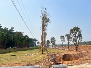 Mua đất shophouse 112m ngay cổng utopia bây giờ hay đợi khi đông khách để mua giá cao hơn?