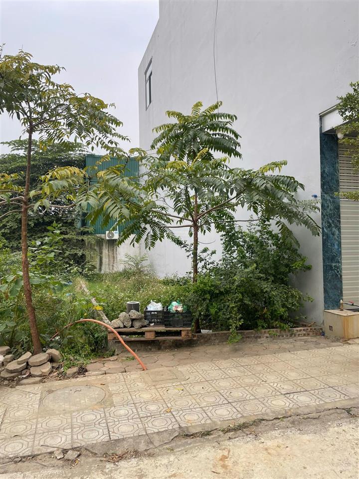 Bán gấp lô đất 55m² khu đất dịch vụ 25,2ha giá siêu tốt 16xtr/m2 không lỗi lầm cách mỹ đình 3km