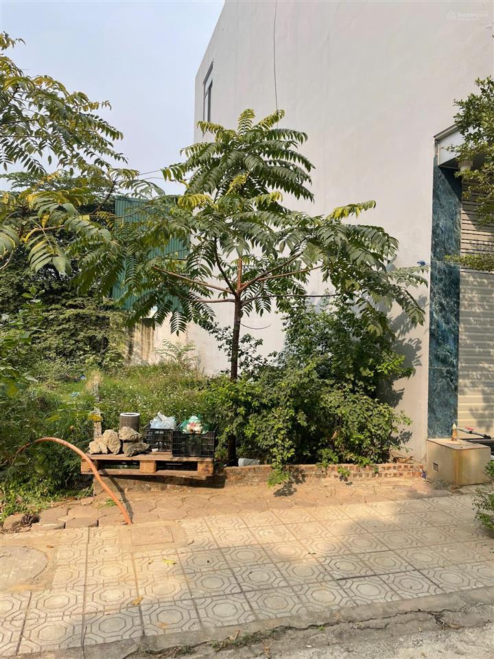 Bán gấp lô đất 55m² khu đất dịch vụ 25,2ha giá siêu tốt 16xtr/m2 không lỗi lầm cách mỹ đình 3km