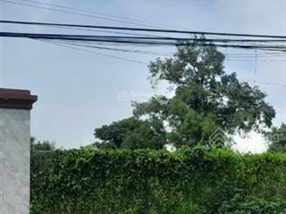 Chính chủ bán đất thổ cư mặt tiền 835b, diện tích lớn 496m2