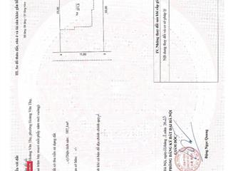 Chính chủ tôi cần bán gấp biệt thự kdt louis city hoàng mai, diện tích 266.8m², giá thoả thuận