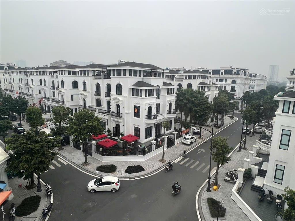 Chính chủ tôi cần bán gấp biệt thự kdt louis city hoàng mai, diện tích 266.8m², giá thoả thuận