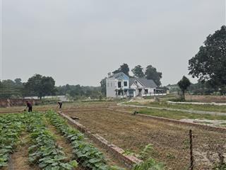 Bán đất lõi phú cát hoà lạc  hàng hiếm  full 100m2 thổ cư, sát tuyến metro 5, f0, chỉ 3,8tr/m2