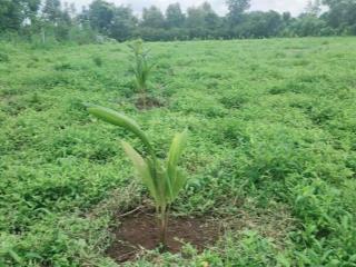 Bán đất đẹp tại bảo bình, cẩm mỹ, đồng nai, 4,5 tỷ, gần 3000m2