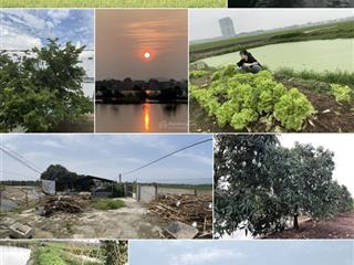 1,6ha sát wyndham thanh thủy dành cho người tìm tài sản nghỉ dưỡng dài hạn