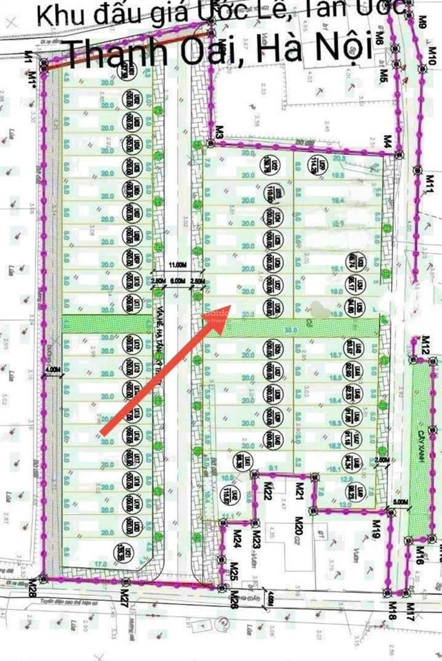 Bán đất đấu giá tân ước, dân hoà, thanh oai lõi khu d vin olympic  phân lô  lô góc 100m2