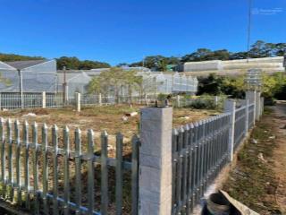 Bán đất tại măng lin, phường 7, đà lạt, 3 tỷ, 500m2 đẹp, nhiều tiện ích