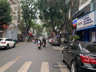 Nhà phố liễu giai  vị trí ngay ngã tư sát lotte  thông số vàng mặt tiền 8m đắc địa  kd cực đỉnh