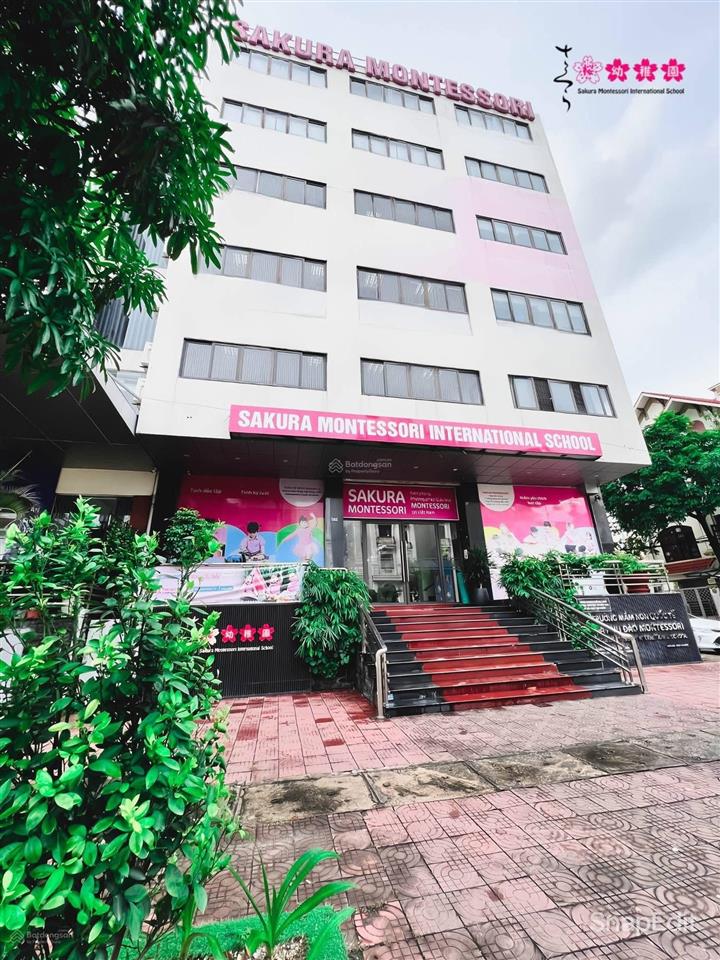 Cho thuê toà nhà thương mại tại hạ long, quảng ninh