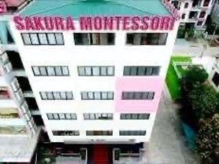 Cho thuê toà nhà thương mại tại hạ long, quảng ninh