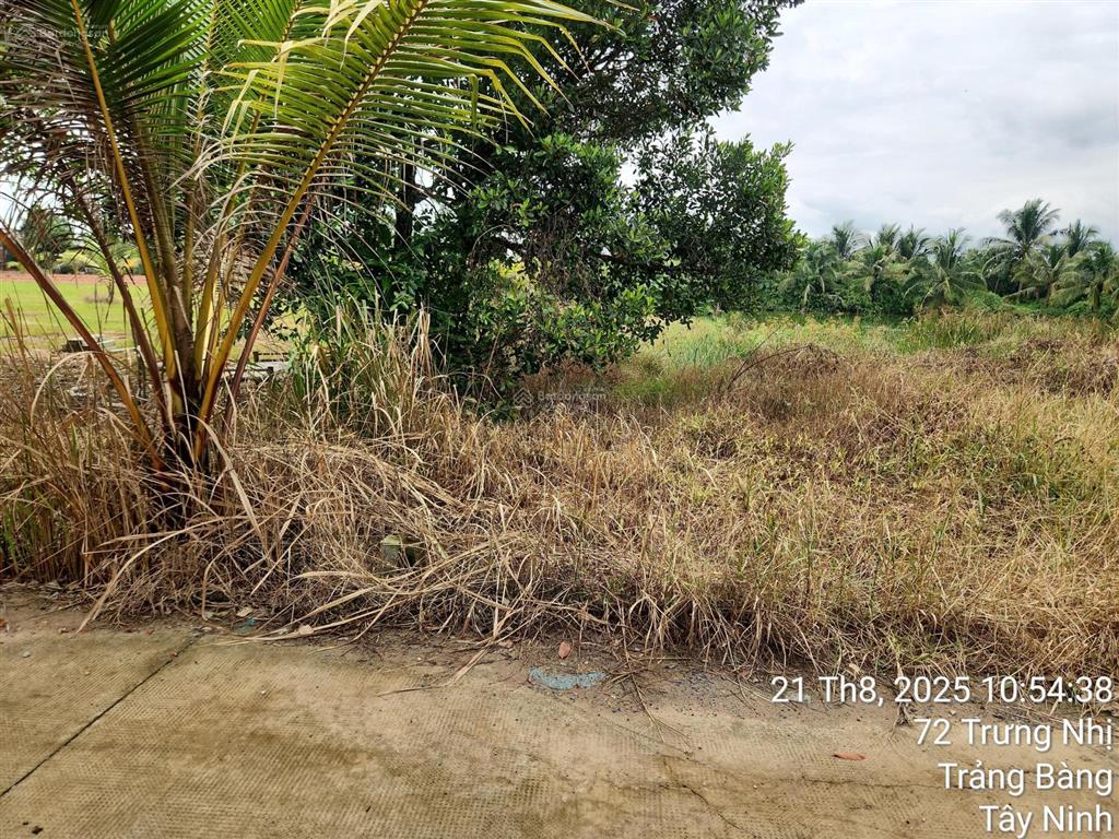 Cuối năm chủ cần ra nhanh lô đất vườn đường trưng nhị phường an tịnh (dt680m) thổ cư 150m,giá 1ty6