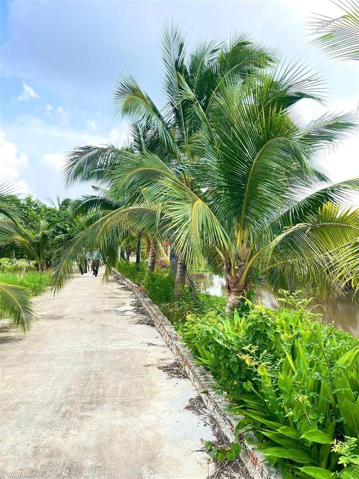 Cuối năm chủ cần ra nhanh lô đất vườn đường trưng nhị phường an tịnh (dt680m) thổ cư 150m,giá 1ty6