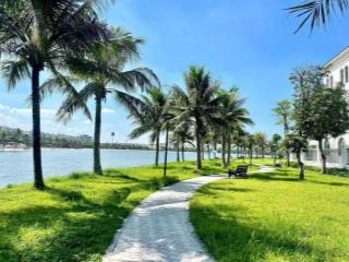 Bán gấp bt liền kề ngọc trai 6 hướng đông nam rẻ nhất dự án vinhomes ocean park 1