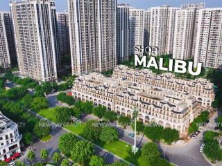 Mở bán lk nhà phố 2 mặt tiền  vị trí lõi cụm chung cư. dòng tiền 700 triệu/ năm tại vin ocp1