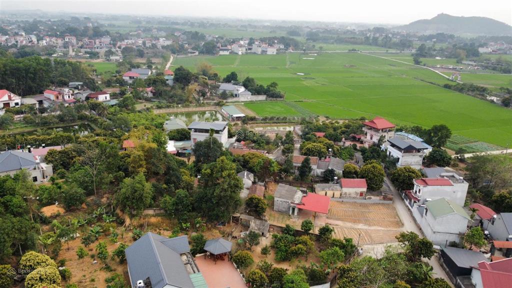 Mở bảng hàng 5 lô đất mới tại đại hoá, tân yên, cách khu công nghiệp phúc sơn 125ha  1,5km