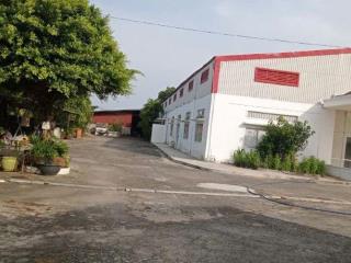 Ngộp, xưởng 13.859m2 có 9859m2 SKC, xd 3586m2, MT TL827, Châu Thành, Long An