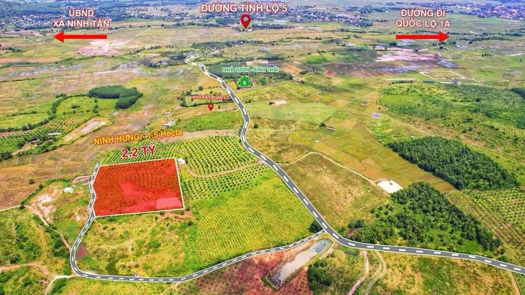 Cần bán nhanh nhà vườn ninh hưng, ninh hòa đã có sẵn cây ăn quả và hệ thống nước giá chỉ 132k/m
