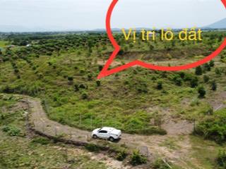 Bán vườn 1.5ha giá rẻ tại ninh hưng ninh hòa gần ql1a, sổ đỏ rõ ràng, mặt tiền 130m, giá 1.99 tỷ