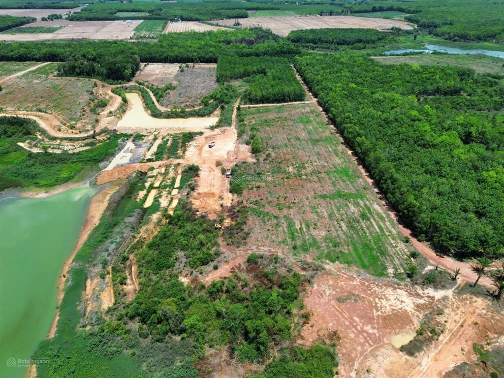 Sỉ 5 lô đất view hồ dầu tiếng xã minh hoà. 15x100, 1500m2(đa dạng diện tích). 750 tr/ lô