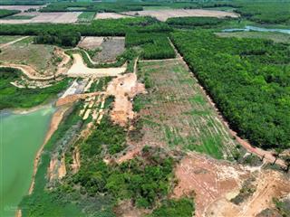 Sỉ 5 lô đất view hồ dầu tiếng xã minh hoà. 15x100, 1500m2(đa dạng diện tích). 750 tr/ lô
