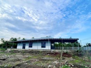62m x 68m (3654m2 có 100m2 thổ). nhựa phủ hồng