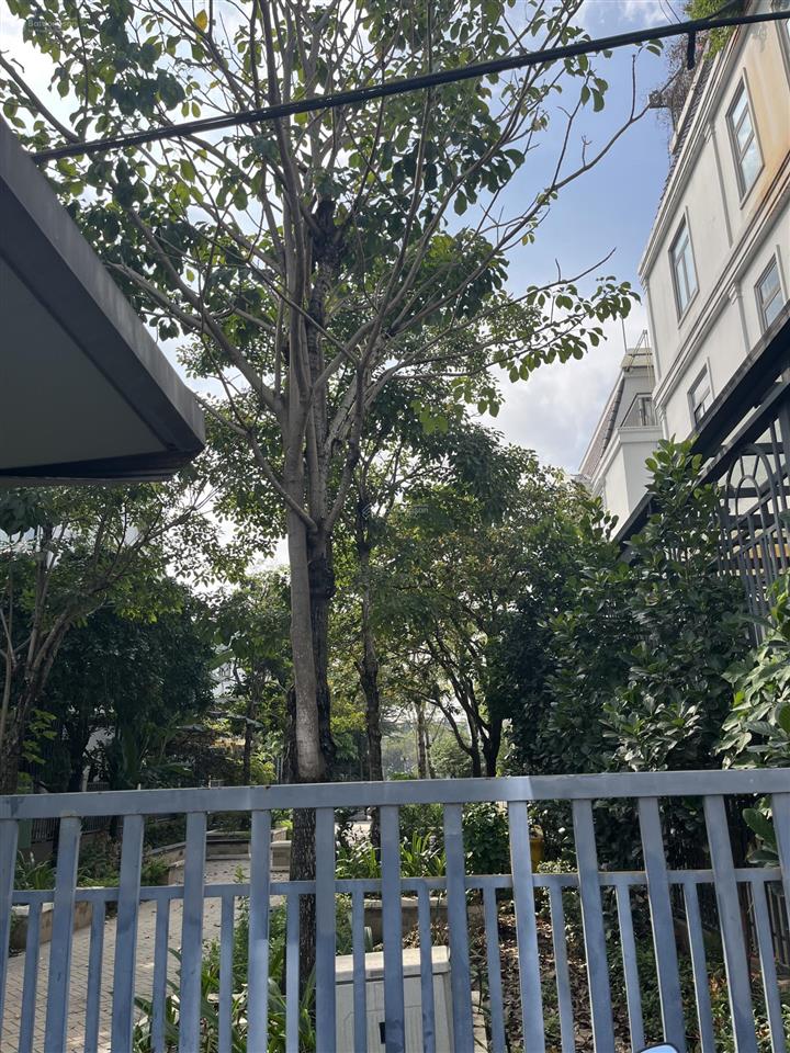 Bán shophouse tại lakeview city, 65 tỷ, 168m2,có thương lượng( 8,4x20)