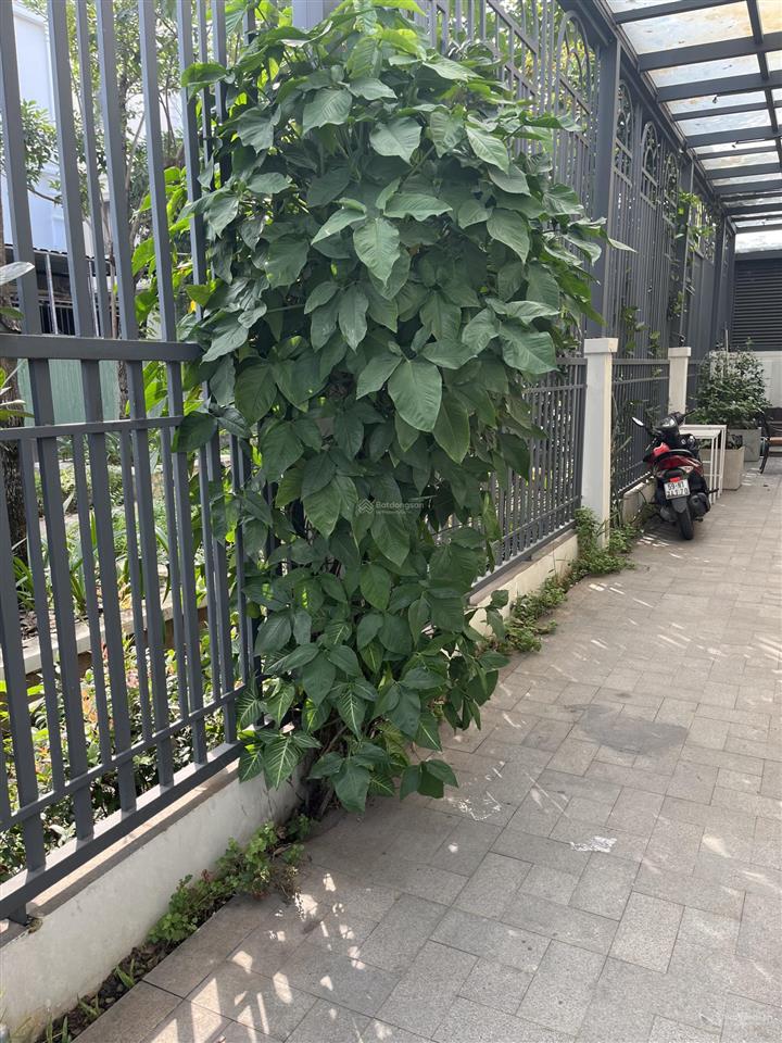 Bán shophouse tại lakeview city, 65 tỷ, 168m2,có thương lượng( 8,4x20)