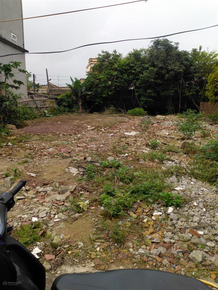 Bán lô đất biệt thự tại xã nguyên xá, đông hưng, thái bình 228m2 giá đẹp