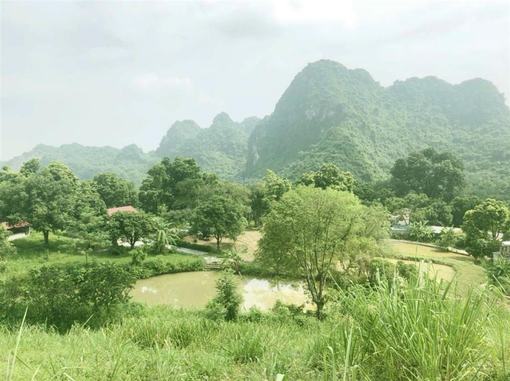 Gia đình cần bán gấp khuôn viên nhà vườn dt 14500m2 tại xóm đá bạc, liên sơn, lương sơn, hb