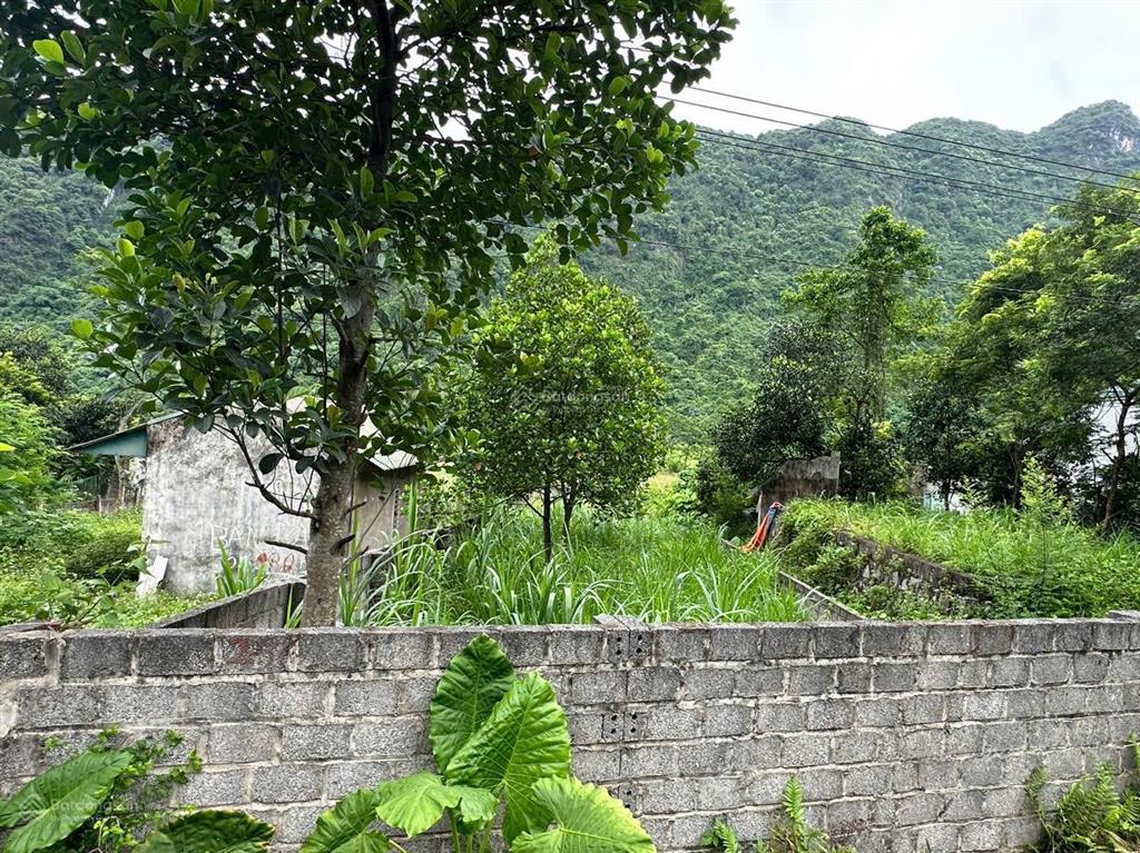 Chính chủ em cần tiền muốn bán nhanh 177m2 toàn bộ thổ cư thuộc xã phú nghĩa, lạc thủy, hoà bình