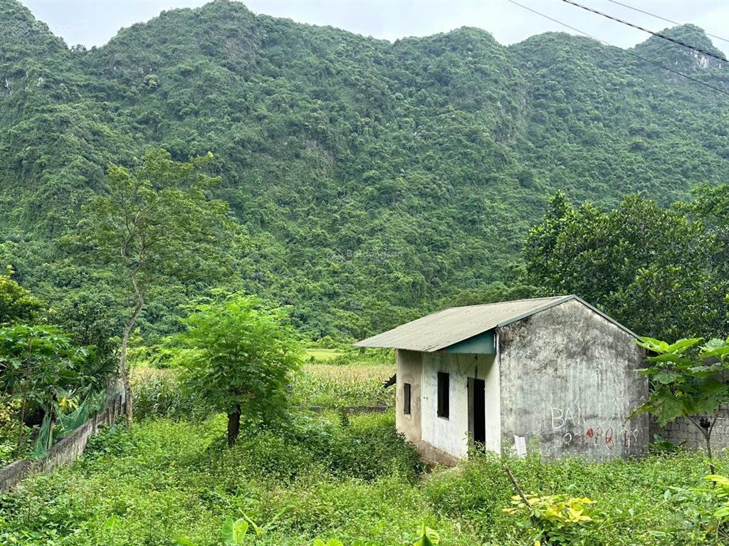 Chính chủ em cần tiền muốn bán nhanh 177m2 toàn bộ thổ cư thuộc xã phú nghĩa, lạc thủy, hoà bình