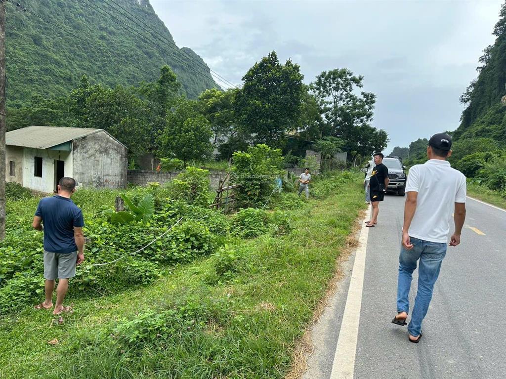 Chính chủ em cần tiền muốn bán nhanh 177m2 toàn bộ thổ cư thuộc xã phú nghĩa, lạc thủy, hoà bình