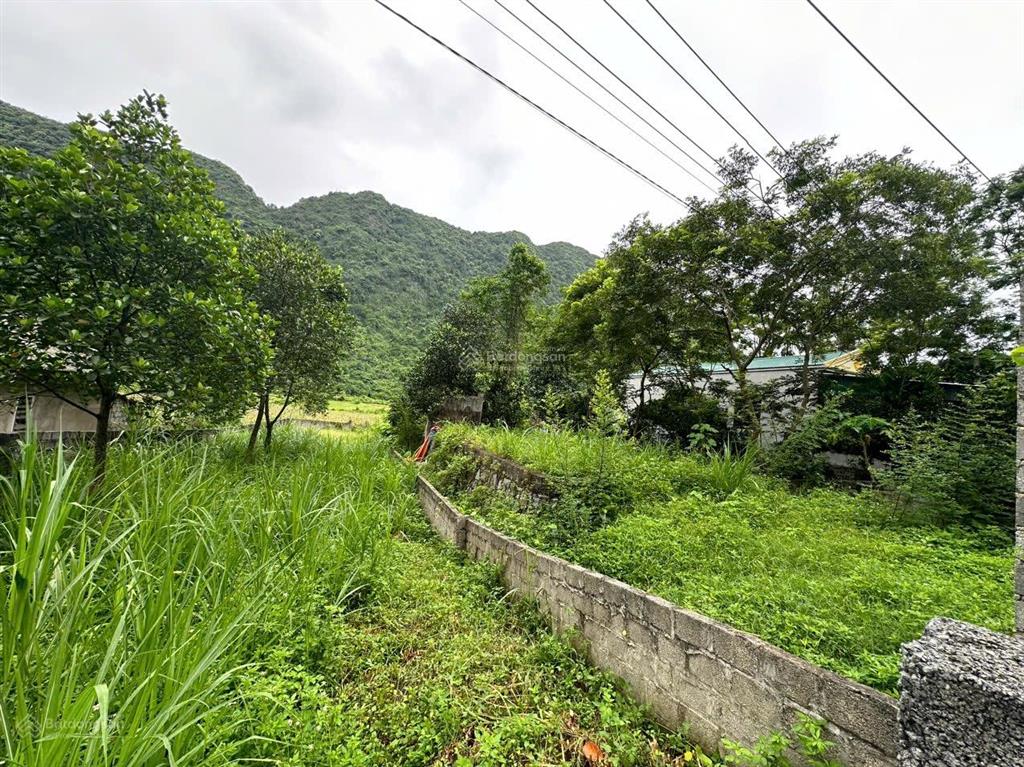 Chính chủ em cần tiền muốn bán nhanh 177m2 toàn bộ thổ cư thuộc xã phú nghĩa, lạc thủy, hoà bình