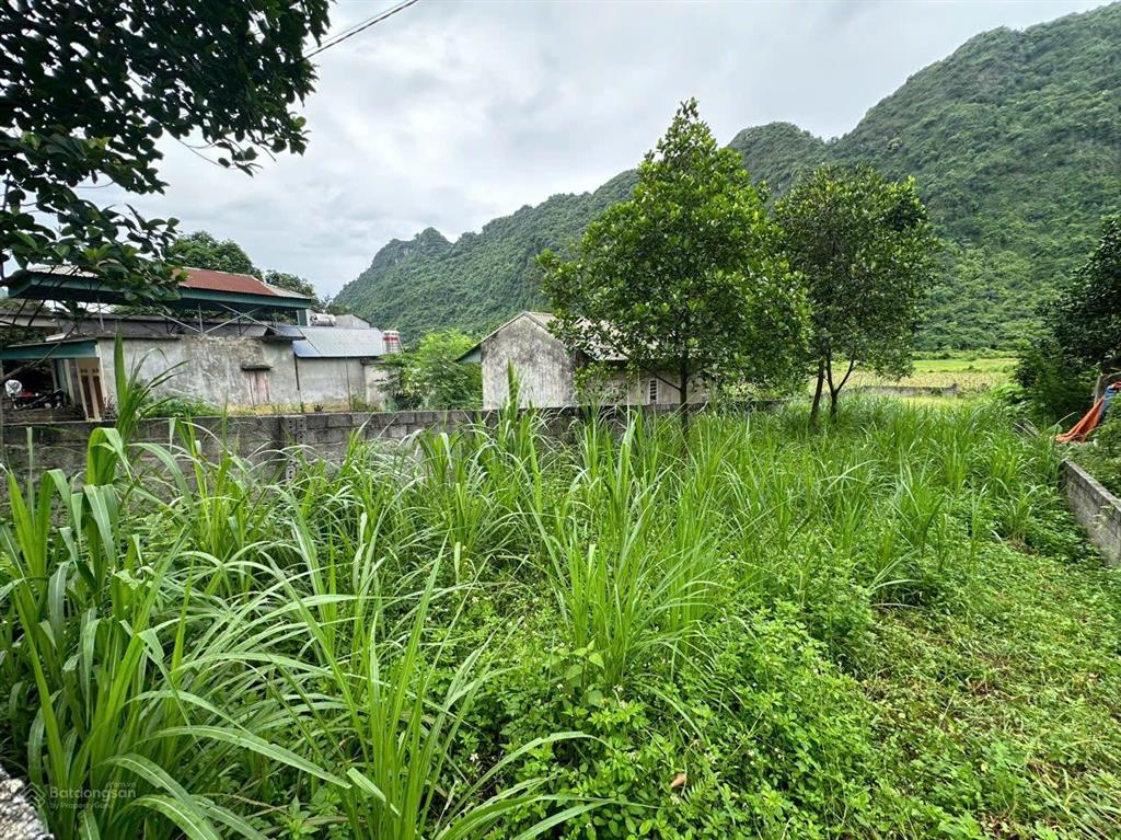 Chính chủ em cần tiền muốn bán nhanh 177m2 toàn bộ thổ cư thuộc xã phú nghĩa, lạc thủy, hoà bình