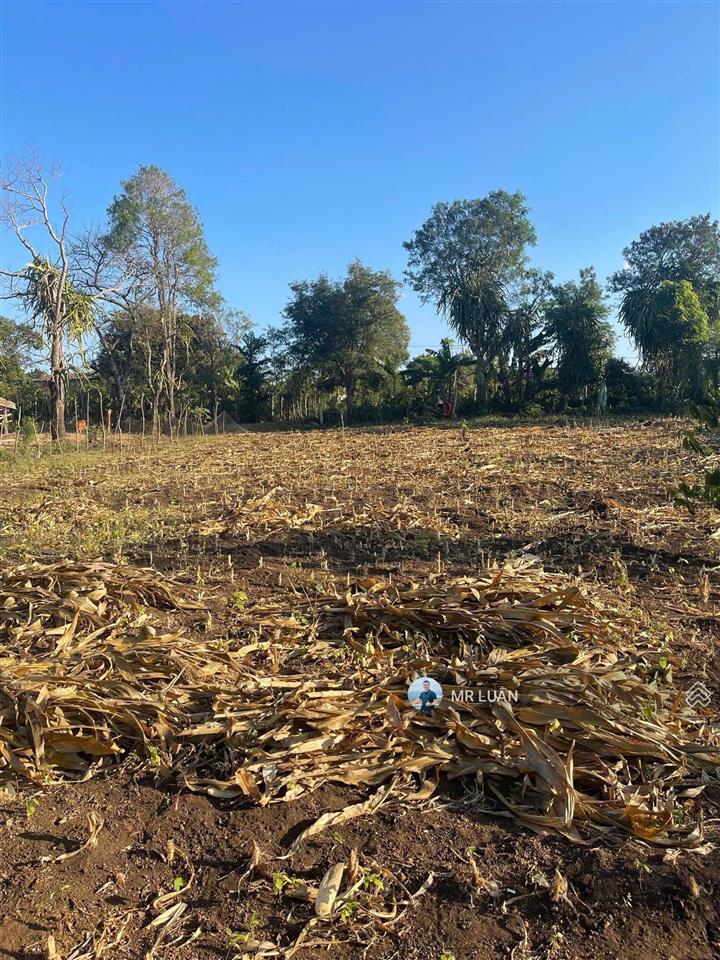 Tôi chính chủ cần bán lô đất km44 . dt 7 x 40 tc  60m2, cách ql14 , 500m , giá 330tr